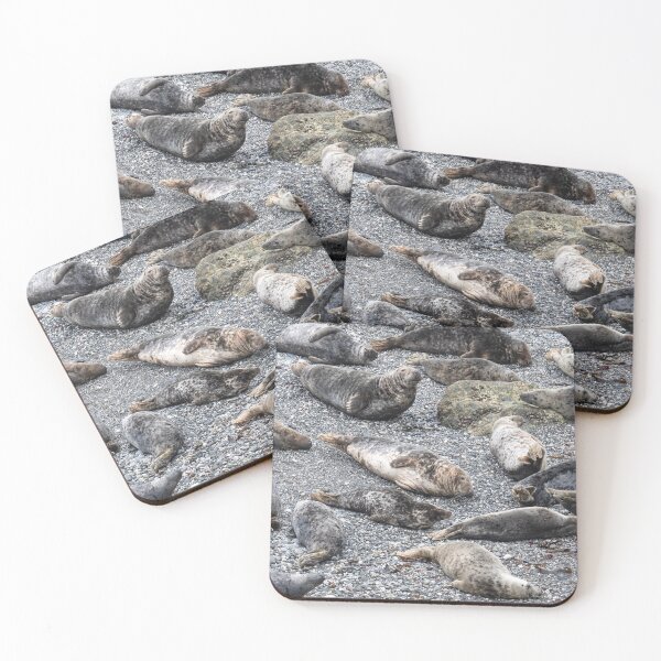 Item preview, Grey Seals chilling on a beach in cornwall designed and sold by kathleenjean.
