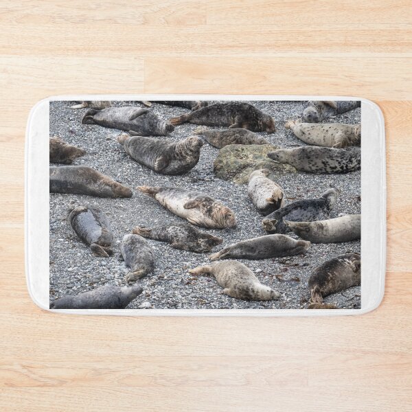 Item preview, Grey Seals chilling on a beach in cornwall designed and sold by kathleenjean.
