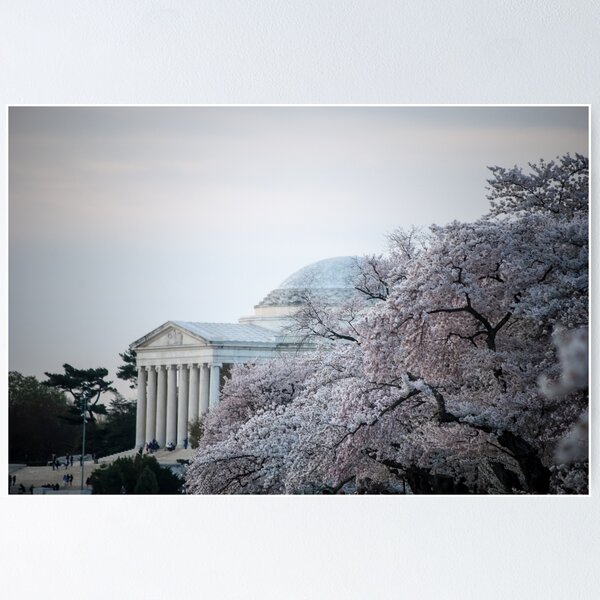 Item preview, Cherry Blossom Thomas Jefferson Memorial close designed and sold by Gustavo Bernal.
