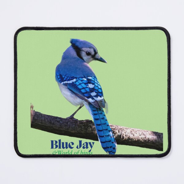 Item preview, Blue jay bird designed and sold by NG4ever.