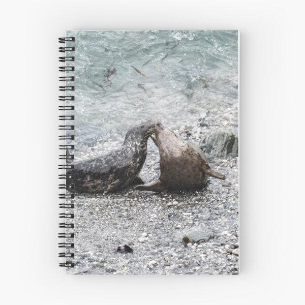 Item preview, Grey Seals, kissing designed and sold by kathleenjean.