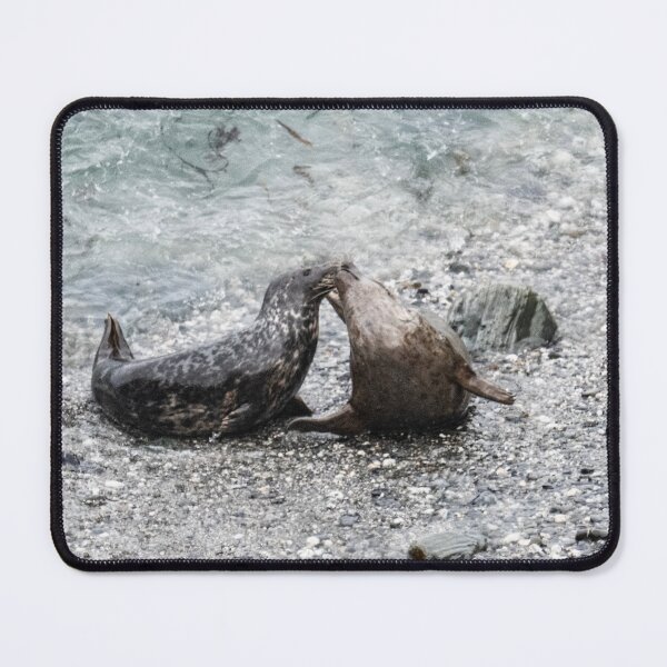 Item preview, Grey Seals, kissing designed and sold by kathleenjean.