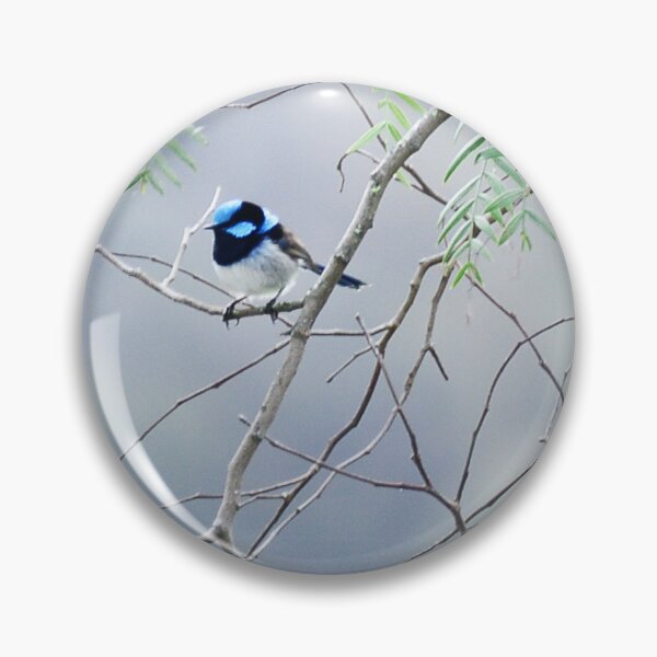 Item preview, Superb Fairy-wren designed and sold by imaginethis.