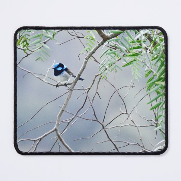 Item preview, Superb Fairy-wren designed and sold by imaginethis.