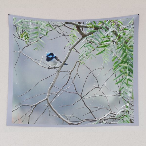 Item preview, Superb Fairy-wren designed and sold by imaginethis.