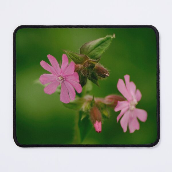 Item preview, Summer flowers in Bloom designed and sold by simonhark.