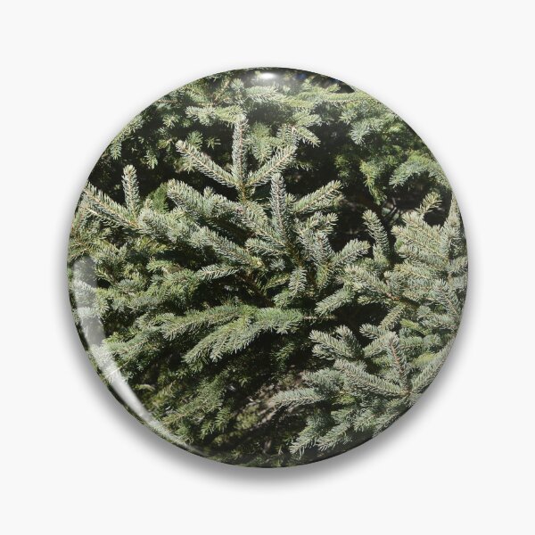 Item preview, A spruce in the fall designed and sold by Claude Laprise.