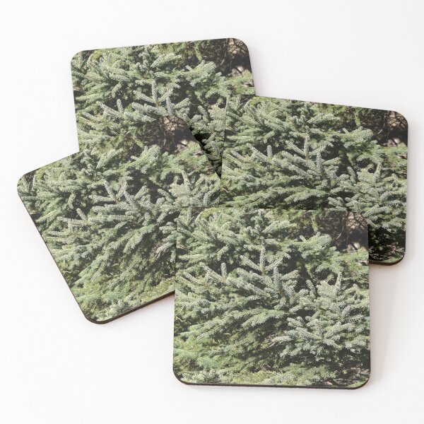 Item preview, A spruce in the fall designed and sold by Claude Laprise.