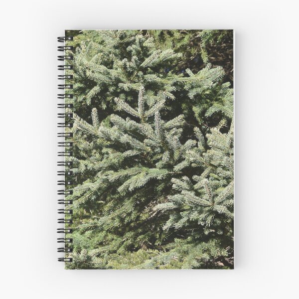 Item preview, A spruce in the fall designed and sold by Claude Laprise.