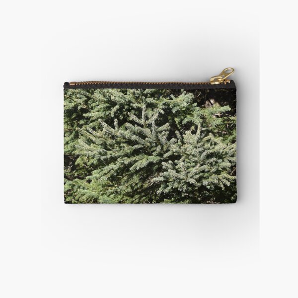 Item preview, A spruce in the fall designed and sold by Claude Laprise.