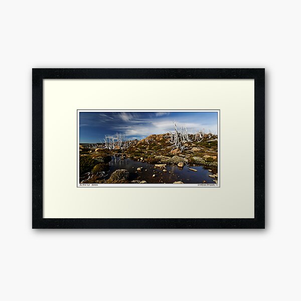 Item preview, Mt. Field AlpineScape designed and sold by Robert Mullner.