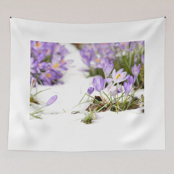 Item preview, Crocus in the Snow designed and sold by AndyV12.