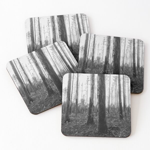 Item preview, Deliberate burning. Seitseminen 2024 bw designed and sold by Jouko Lehto Photography.