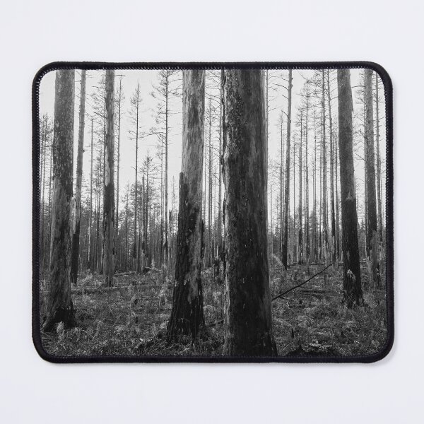 Item preview, Deliberate burning. Seitseminen 2024 bw designed and sold by Jouko Lehto Photography.