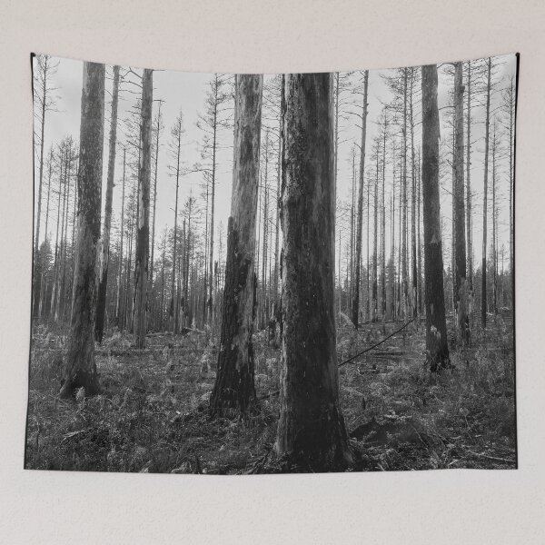 Item preview, Deliberate burning. Seitseminen 2024 bw designed and sold by Jouko Lehto Photography.