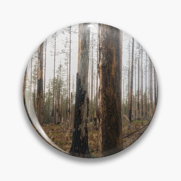 Item preview, Deliberate burning. Seitseminen 2024 designed and sold by Jouko Lehto Photography.