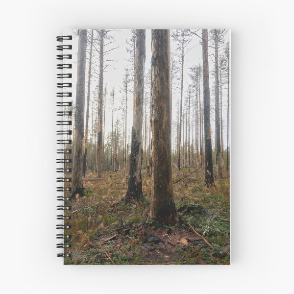 Item preview, Deliberate burning. Seitseminen 2024 designed and sold by Jouko Lehto Photography.