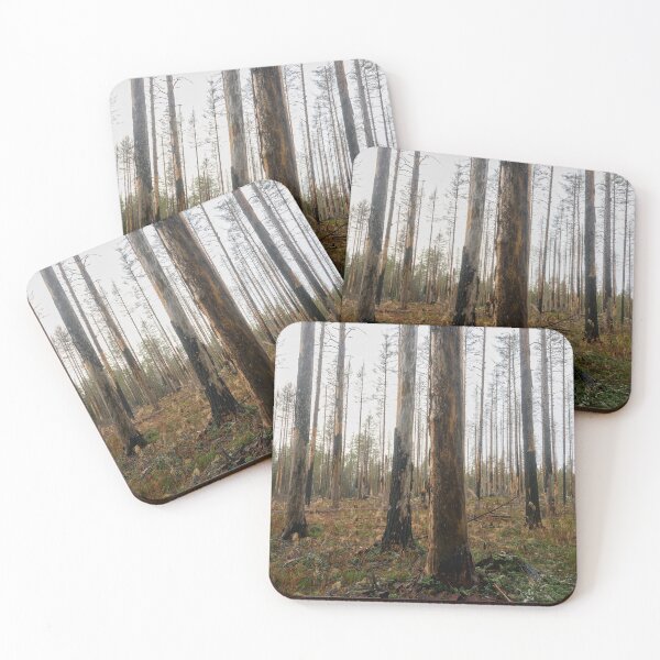 Item preview, Deliberate burning. Seitseminen 2024 designed and sold by Jouko Lehto Photography.
