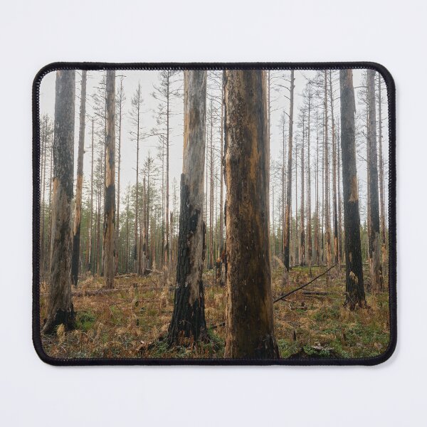 Item preview, Deliberate burning. Seitseminen 2024 designed and sold by Jouko Lehto Photography.