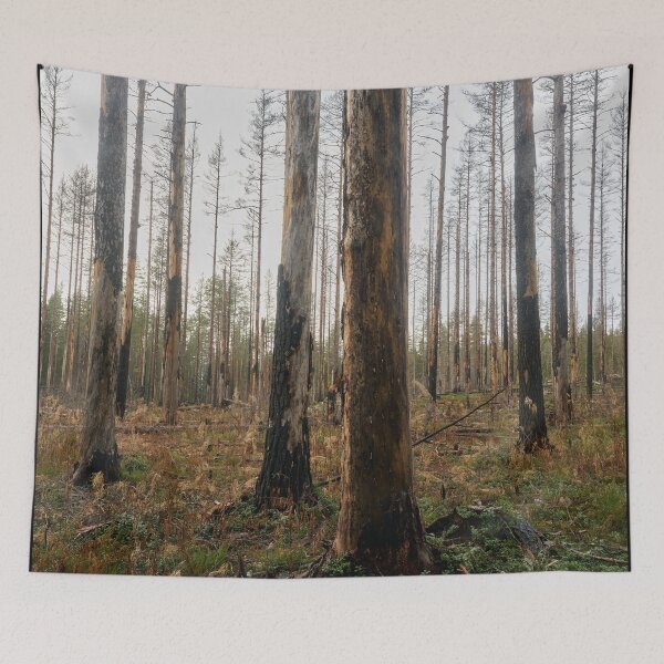 Item preview, Deliberate burning. Seitseminen 2024 designed and sold by Jouko Lehto Photography.