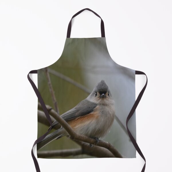 Item preview, Tufted Titmouse Perched on Branch designed and sold by InGFocus.