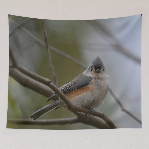 Item preview, Tufted Titmouse Perched on Branch designed and sold by InGFocus.