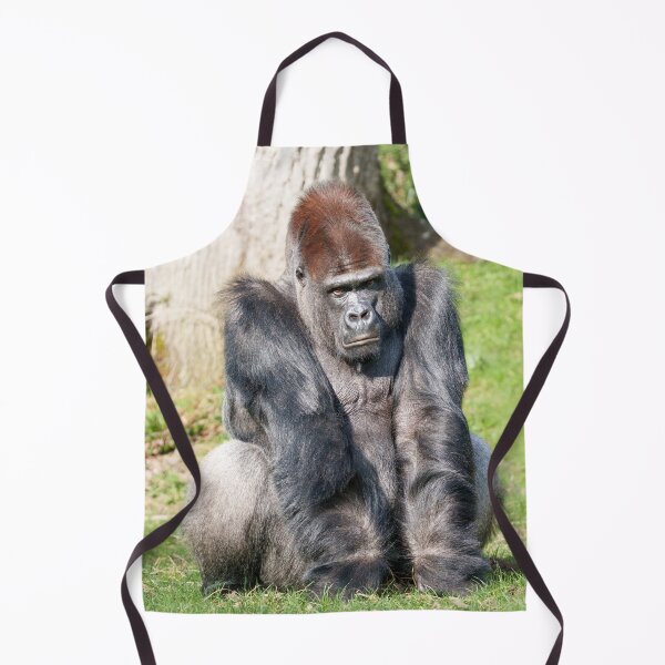 Item preview, Intense Gorilla Staring, Expecting a Meal in Yaounde designed and sold by rawshutterbug.