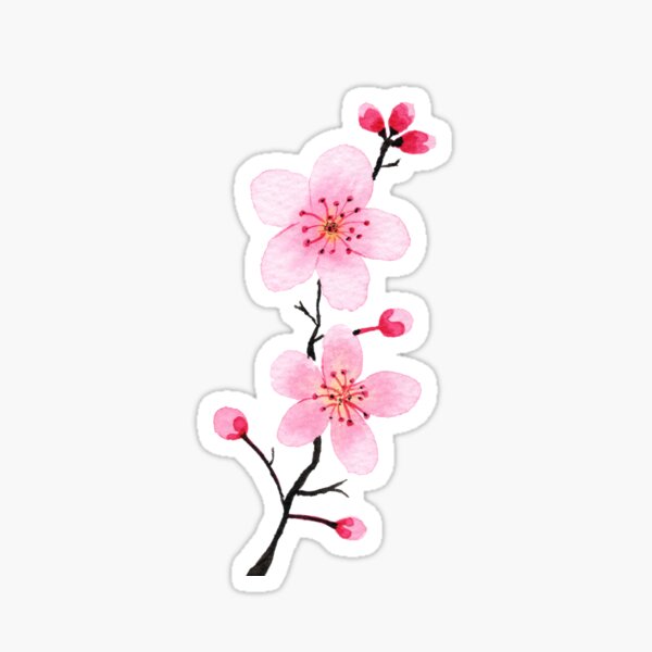 Cherry Blossoms Pink Sticker