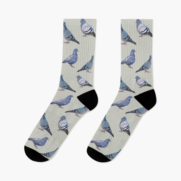 Item preview, Rock Pigeon paintings (sticker set) designed and sold by Emily Bickell.