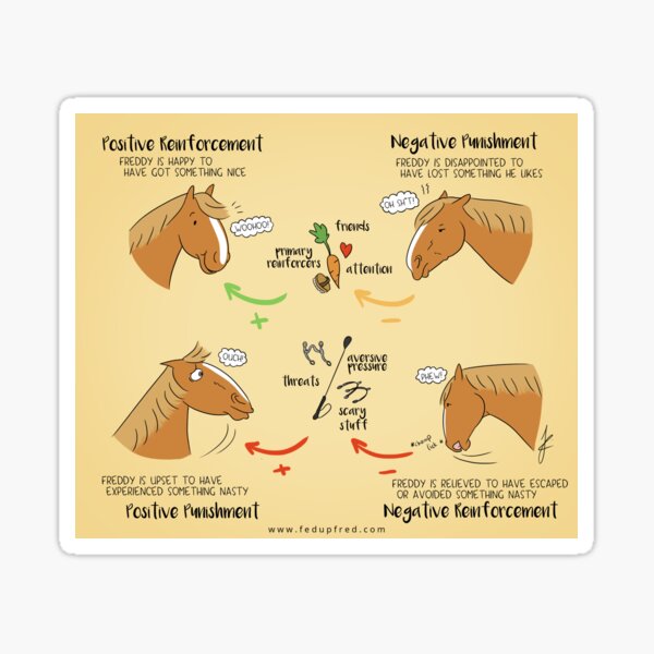 Learning theory and emotions in horses Sticker