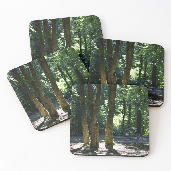 Item preview, Trees and Shadows designed and sold by Calidris Fotografie Steffi & Ben Köppler.