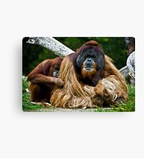 Protect Me Canvas Print