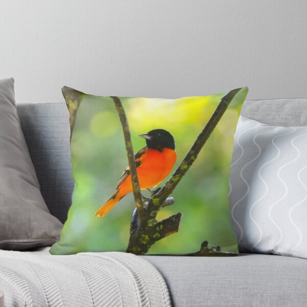 Item preview, Baltimore Oriole Panama Alvaro Miranda Bird Photography designed and sold by Alvaro-Miranda.
