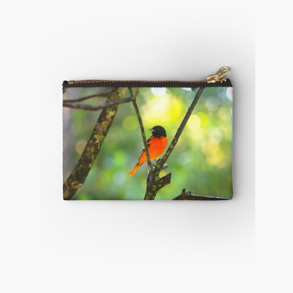 Item preview, Baltimore Oriole Panama Alvaro Miranda Bird Photography designed and sold by Alvaro-Miranda.