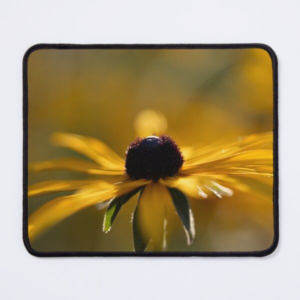 Item preview, Black-eyed Susan designed and sold by Calidris Fotografie Steffi & Ben Köppler.