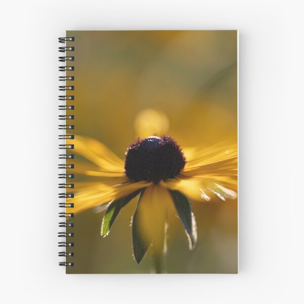 Item preview, Black-eyed Susan designed and sold by Calidris Fotografie Steffi & Ben Köppler.