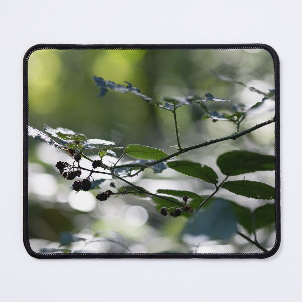 Item preview, Blackberries designed and sold by Calidris Fotografie Steffi & Ben Köppler.