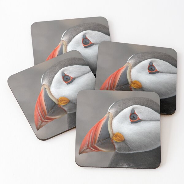 Item preview, Perfect Puffin Portrait designed and sold by Julie Wilkinson.