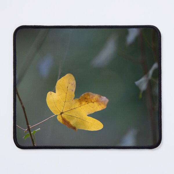 Item preview, Leaf designed and sold by Calidris Fotografie Steffi & Ben Köppler.