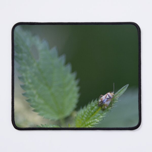 Item preview, Lygus pratensis designed and sold by Calidris Fotografie Steffi & Ben Köppler.