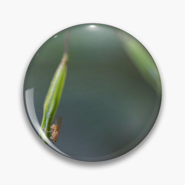 Item preview, Small-flowered touch-me-not designed and sold by Calidris Fotografie Steffi & Ben Köppler.