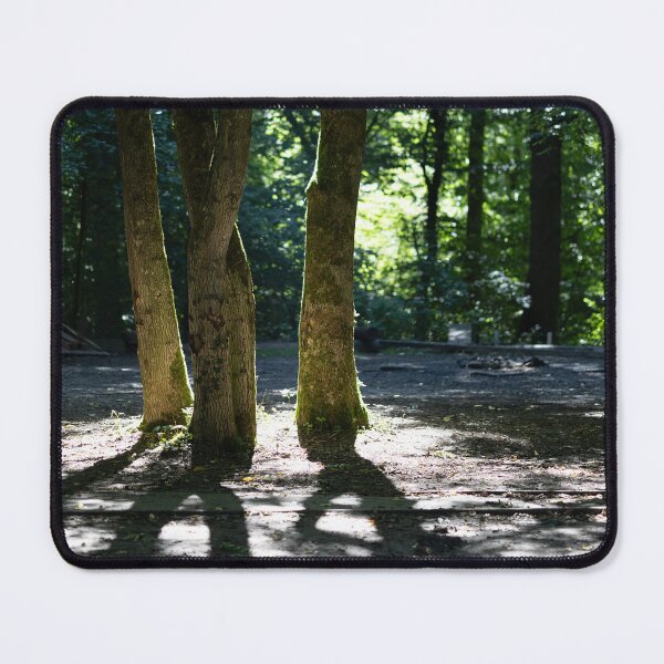 Item preview, Trees and Shadows designed and sold by Calidris Fotografie Steffi & Ben Köppler.