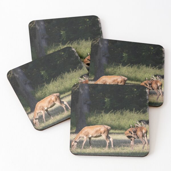 Item preview, Red deer designed and sold by Calidris Fotografie Steffi & Ben Köppler.