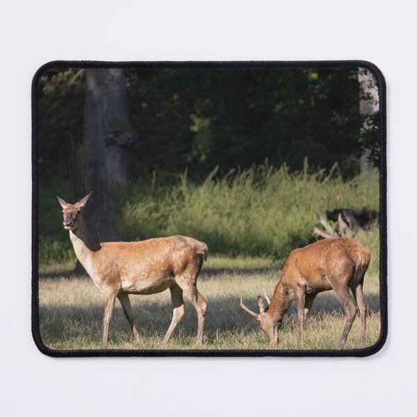 Item preview, Red deer designed and sold by Calidris Fotografie Steffi & Ben Köppler.