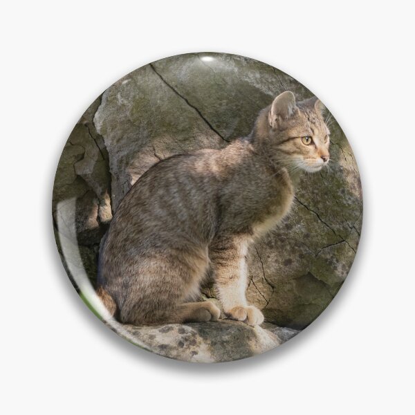 Item preview, European Wildcat designed and sold by Calidris Fotografie Steffi & Ben Köppler.