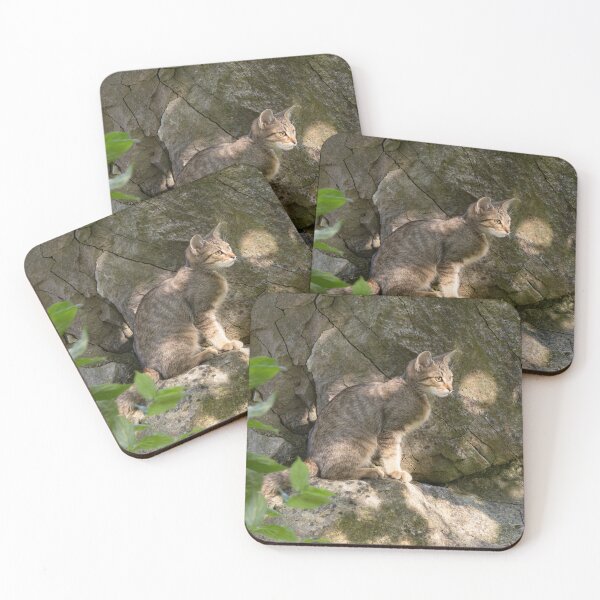 Item preview, European Wildcat designed and sold by Calidris Fotografie Steffi & Ben Köppler.
