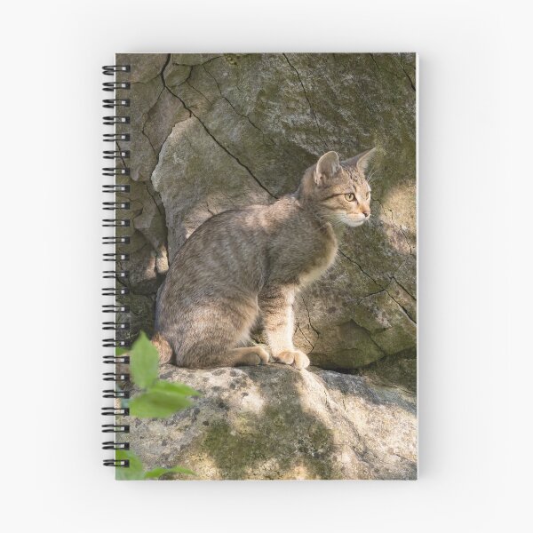 Item preview, European Wildcat designed and sold by Calidris Fotografie Steffi & Ben Köppler.