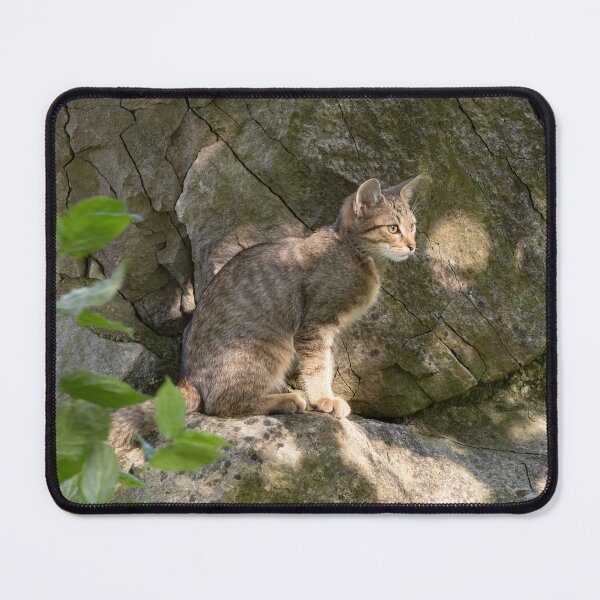 Item preview, European Wildcat designed and sold by Calidris Fotografie Steffi & Ben Köppler.