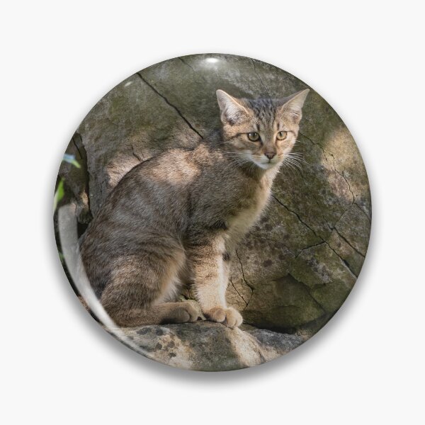 Item preview, European Wildcat designed and sold by Calidris Fotografie Steffi & Ben Köppler.