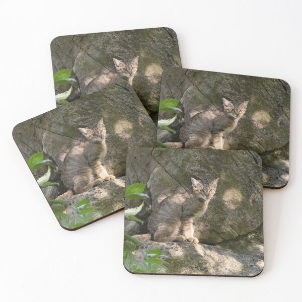Item preview, European Wildcat designed and sold by Calidris Fotografie Steffi & Ben Köppler.